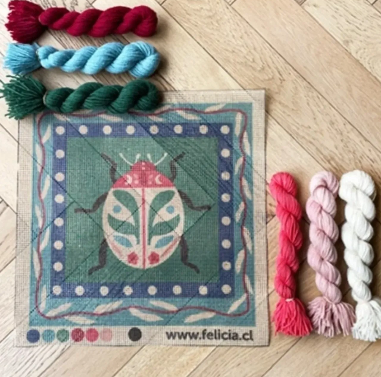 Felicia Kit Cojín punto cruz Escarabajo